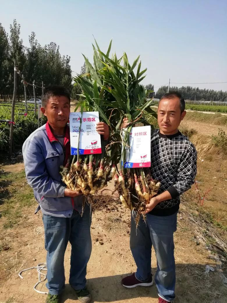 1553074594909863.png 1553074594909863.png