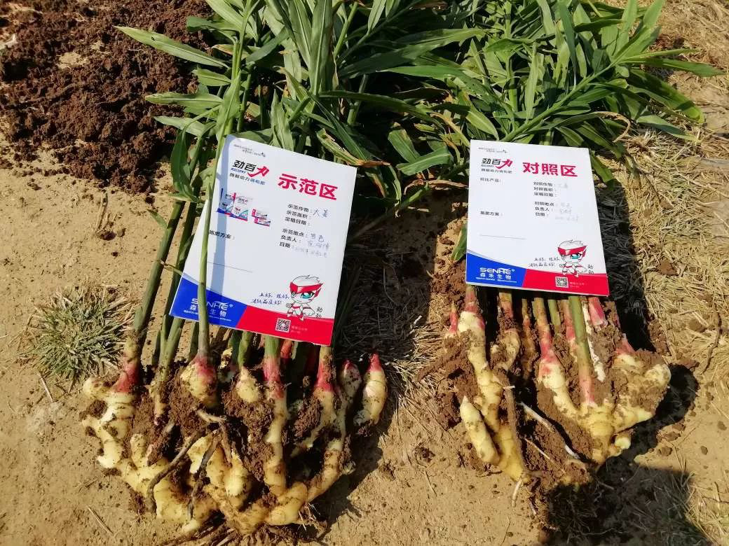 1553074634341801.png 1553074634341801.png