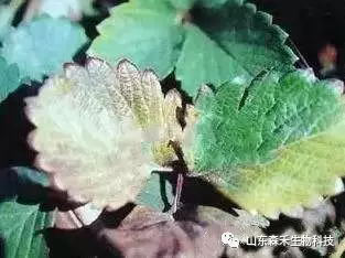 1553129505690315.png 1553129505690315.png