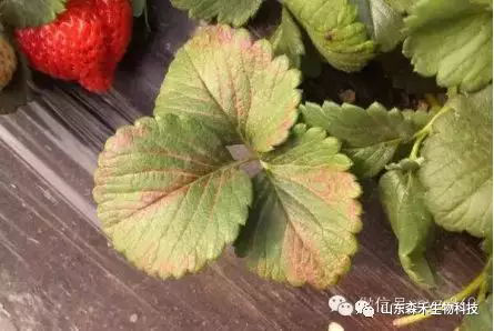 1553129599100543.png 1553129599100543.png