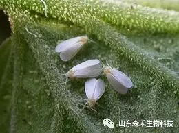 1553129976103147.png 1553129976103147.png