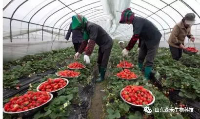 1553130014916878.png 1553130014916878.png