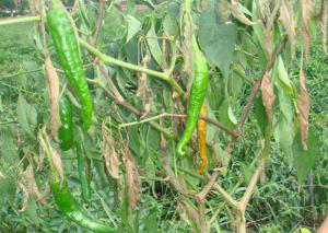 1553133553249756.png 1553133553249756.png