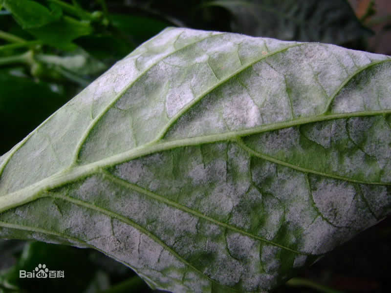 1553133707221828.png 1553133707221828.png