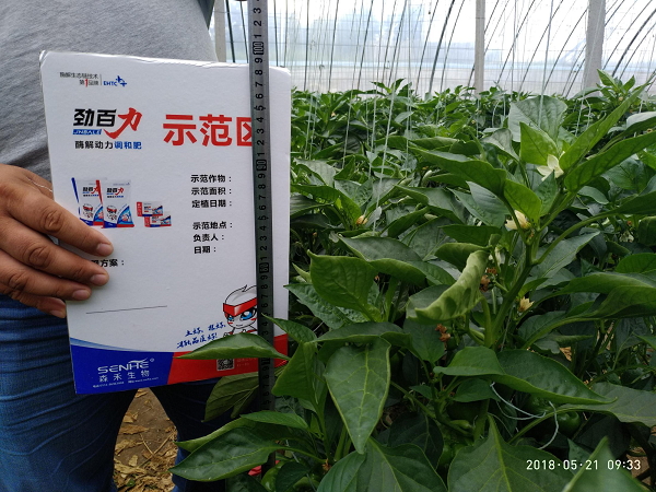 1554173852704516.png 1554173852704516.png