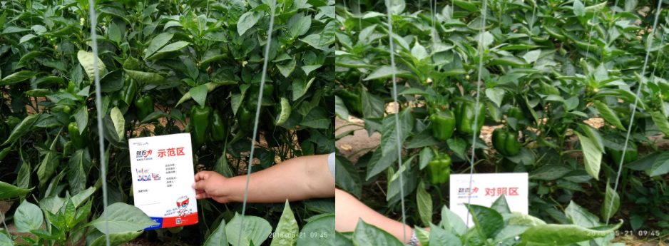 1562051014117042.png 企業(yè)微信截圖_15620508387722.png